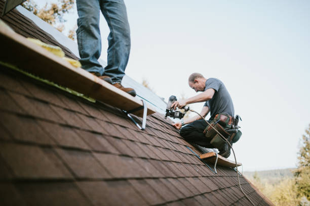 Roof Gutter Cleaning in Newport, VT